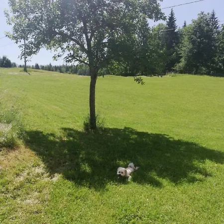 Arh Bohinjska Bistrica