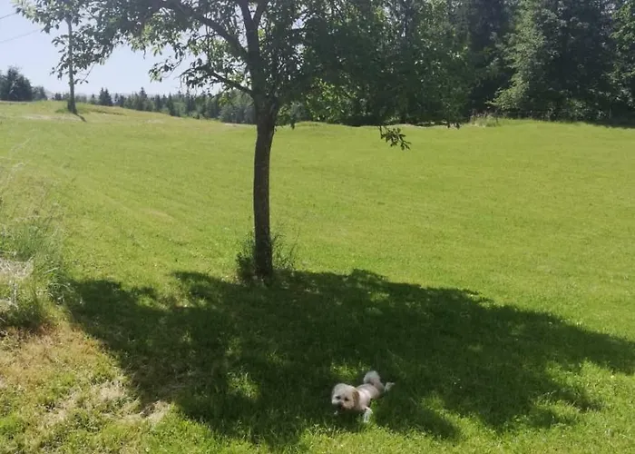 Arh בוהינסקה ביסטריצה